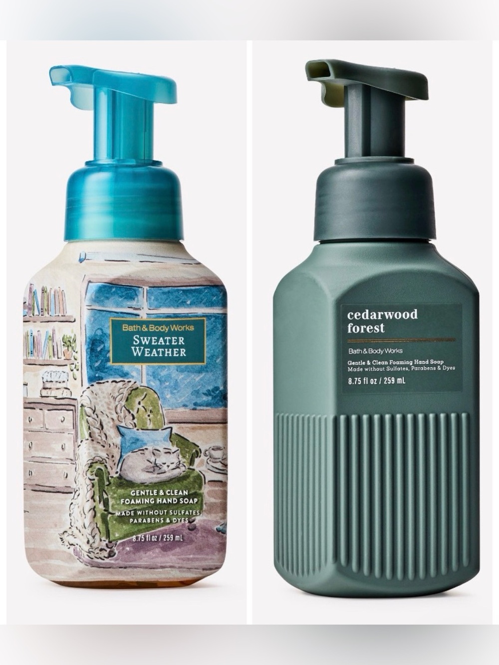 Bath & Body Works NWT (R $18) Hand Soap Duo
